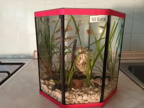 Akvarij osmerokutni