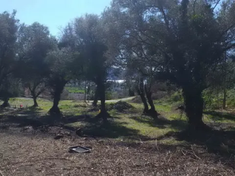 Herceg Novi, građevinski placevi na 1.7 km od centra