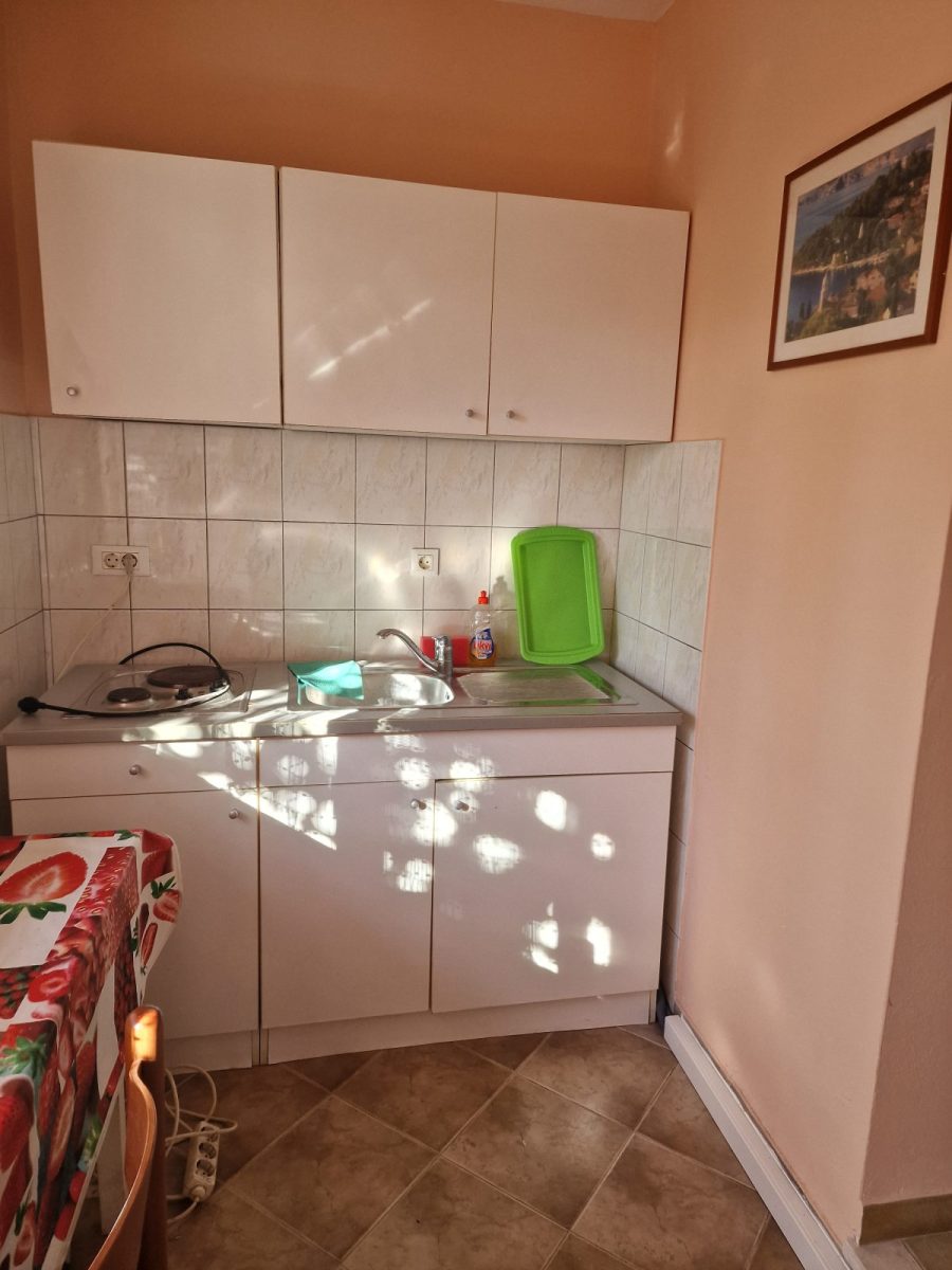 IZNAJMLJUJEM STAN U CENTRU GRUŽA