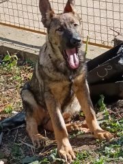 1viber_slika_2025-11-01_11-34-21-317