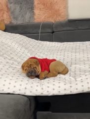 1viber_slika_2025-11-02_21-15-25-477