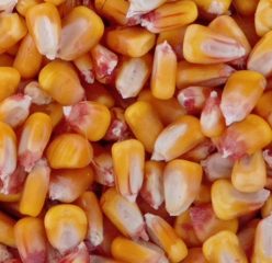 1749995191618_035633