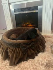 1c6b58a5-442e-4498-aa96-c73d6a6716a0