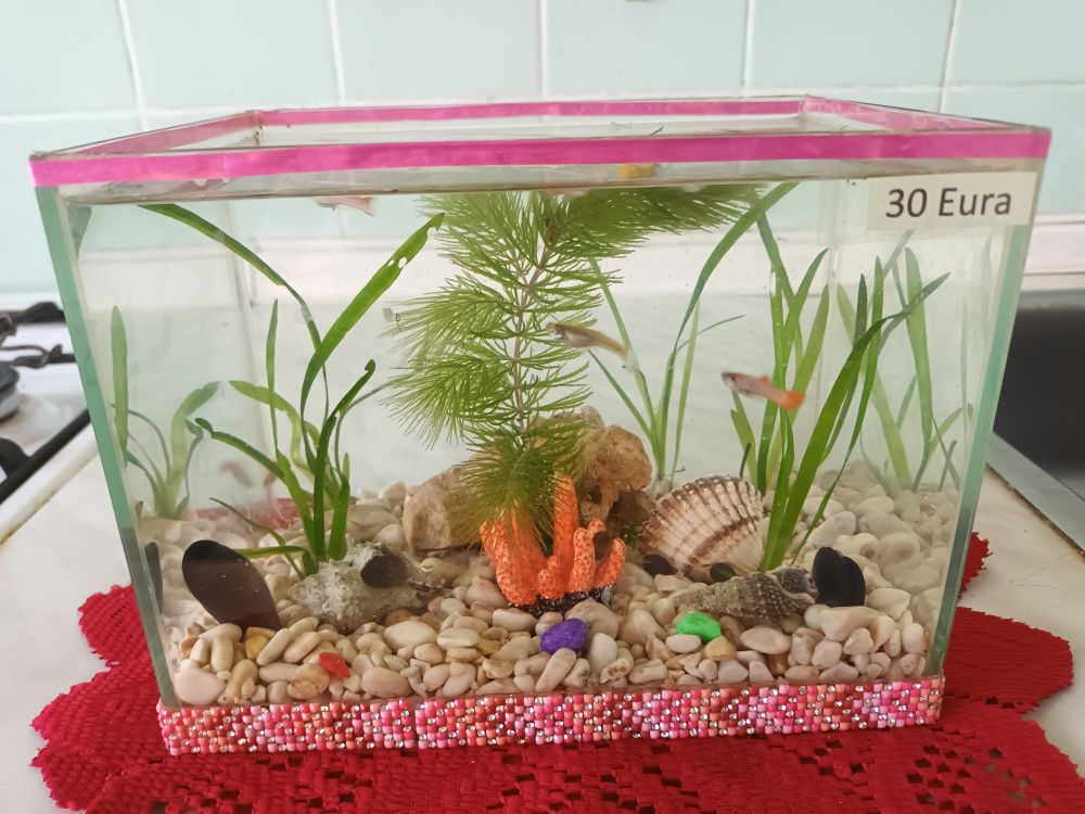 Akvarij šesterokutni