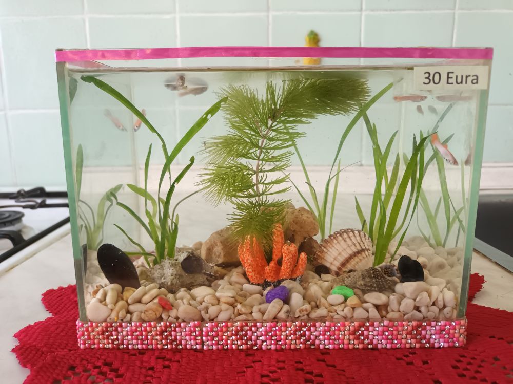 Akvarij šesterokutni