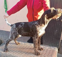 viber_image_2026-03-03_18-27-20-790